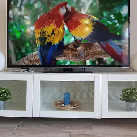 Dream Views Apartment *