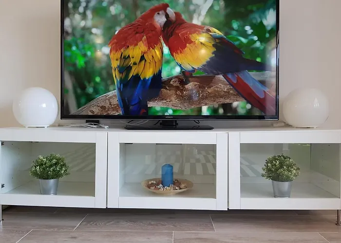 Dream Views 아파트 *